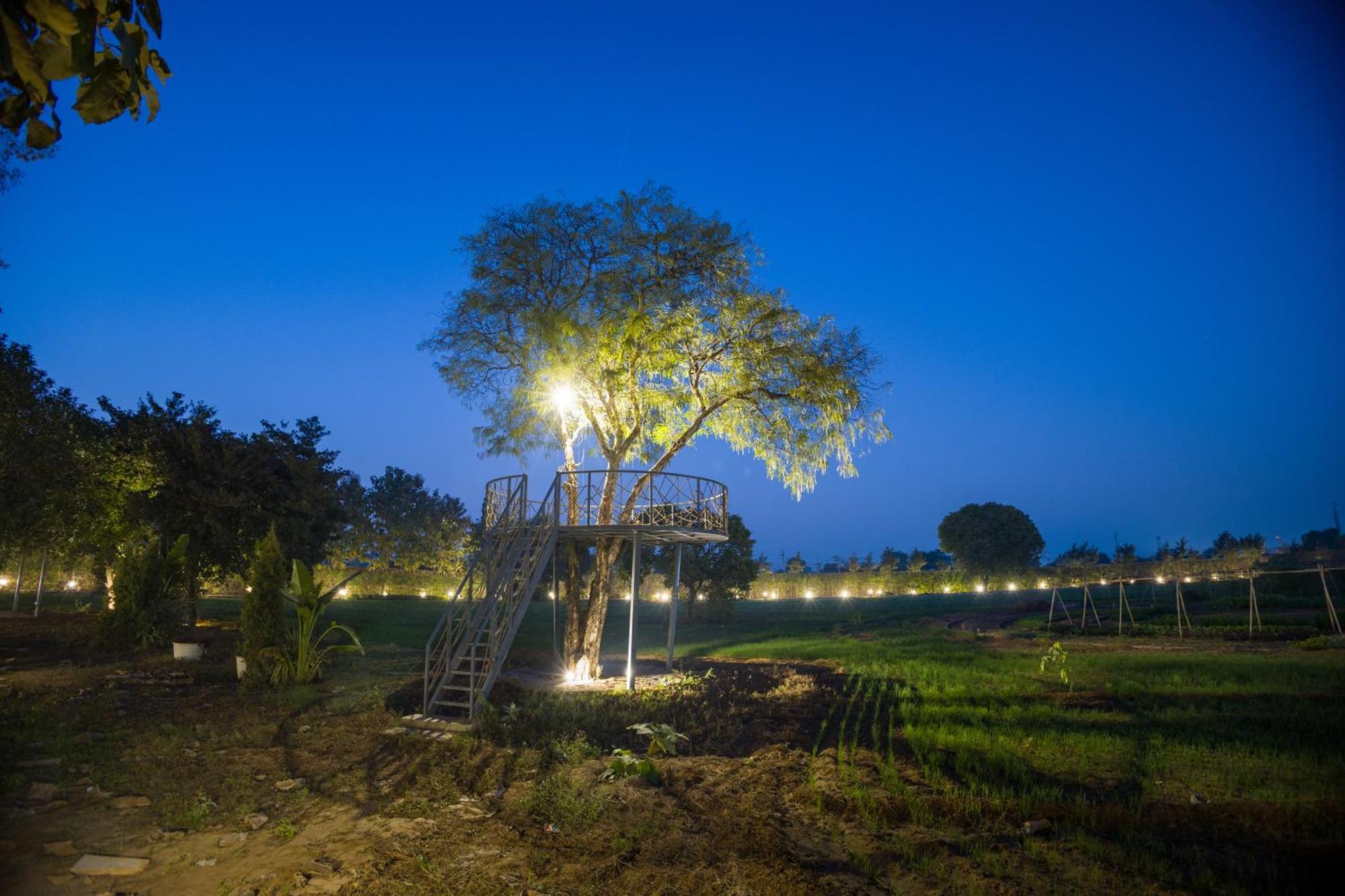 Elivaas Hidden Oasis 4Bhk With Pool, Mud House & Container House Villa Dhauj Buitenkant foto